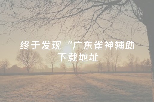 终于发现“广东雀神辅助下载地址（专用辅牌神器免安装）