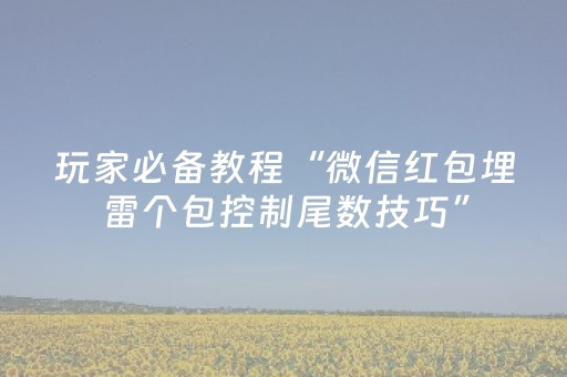 玩家必备教程“微信红包埋雷个包控制尾数技巧”（详细透视教程）-哔哩哔哩