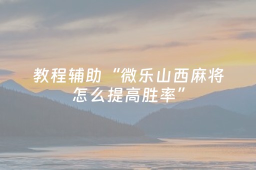 教程辅助“微乐山西麻将怎么提高胜率”（详细透视教程）-哔哩哔哩