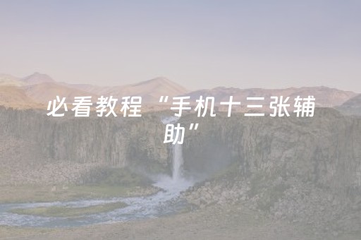 必看教程“手机十三张辅助”（详细透视教程）-哔哩哔哩