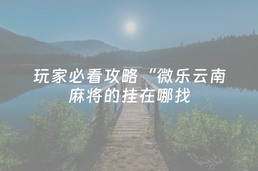 玩家必看攻略“微乐云南麻将的挂在哪找（专用辅牌神器免安装）