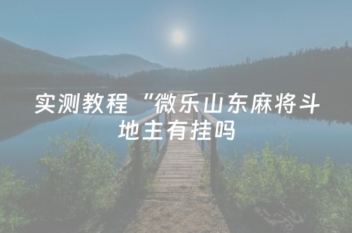 实测教程“微乐山东麻将斗地主有挂吗（专用辅牌神器免安装）