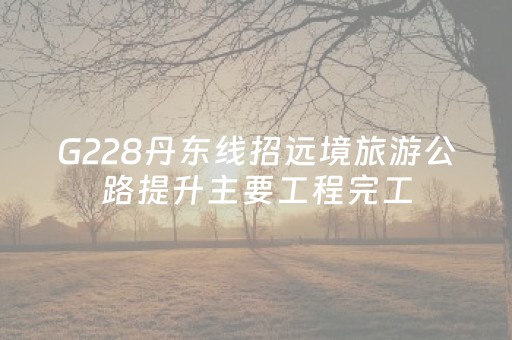 G228丹东线招远境旅游公路提升主要工程完工