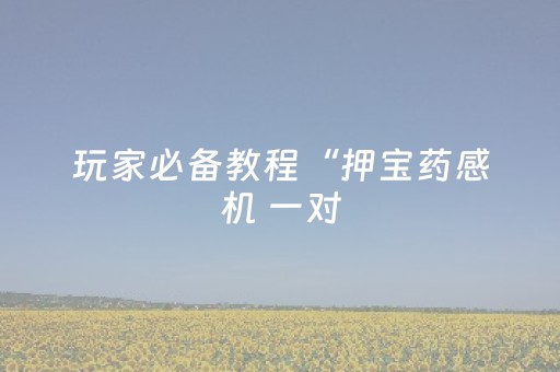 玩家必备教程“押宝药感机 一对（助赢神器通用版）