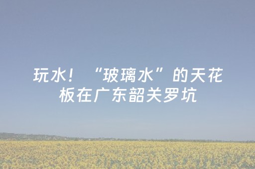 玩家实测“微乐麻将100%能赢的神器”（详细透视教程）-哔哩哔哩