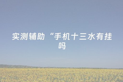 实测辅助“手机十三水有挂吗（专用辅牌神器免安装）