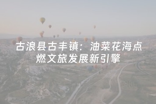 实测分享“吉祥麻将铺牌器购买”（详细辅助教程）-哔哩哔哩