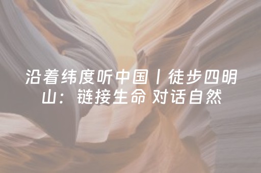 终于发现“怎么确定红包埋雷秘诀不用挂的”（详细透视教程）-哔哩哔哩