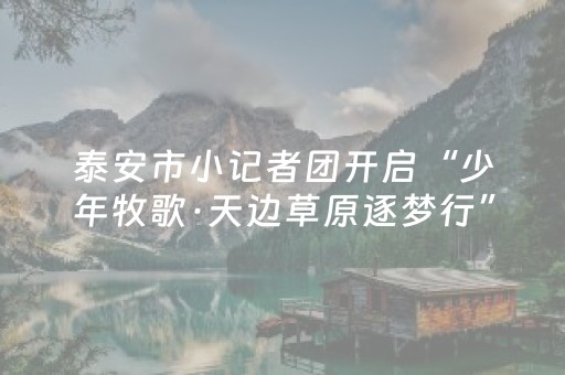 实测教程“微乐云南麻将小程序怎么才会赢”（详细透视教程）-哔哩哔哩