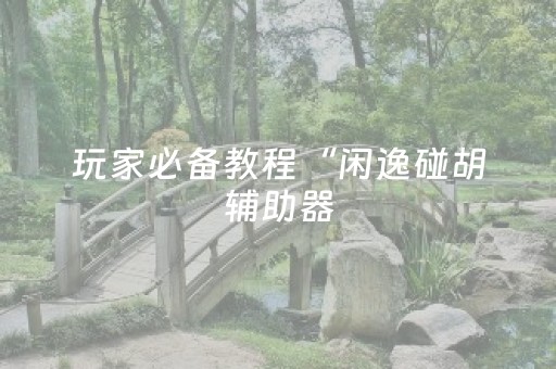 玩家必备教程“闲逸碰胡辅助器（助赢神器通用版）