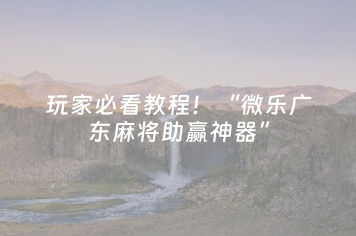 玩家必看教程！“微乐广东麻将助赢神器”（详细透视教程）-哔哩哔哩