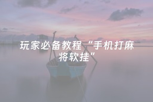 玩家必备教程“手机打麻将软挂”（详细透视教程）-哔哩哔哩