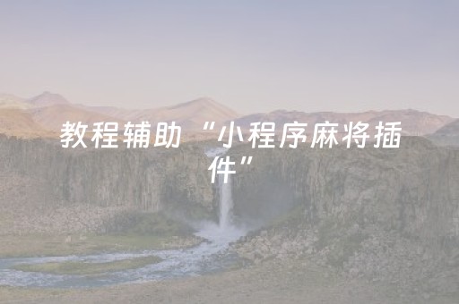 教程辅助“小程序麻将插件”（详细透视教程）-哔哩哔哩