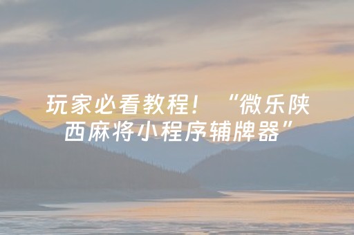 玩家必看教程！“微乐陕西麻将小程序辅牌器”（详细辅助教程）-哔哩哔哩
