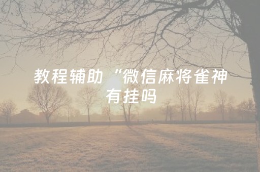 教程辅助“微信麻将雀神有挂吗（专用辅牌神器免安装）