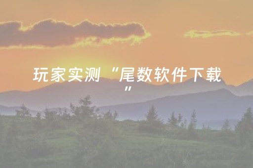 玩家实测“尾数软件下载”（详细透视教程）-哔哩哔哩