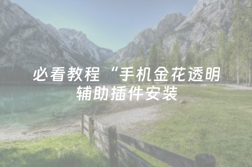 必看教程“手机金花透明辅助插件安装（助赢神器通用版）