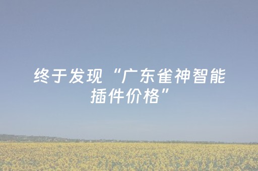 终于发现“广东雀神智能插件价格”（详细透视教程）-哔哩哔哩