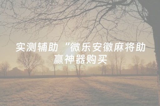 实测辅助“微乐安徽麻将助赢神器购买（助赢神器通用版）