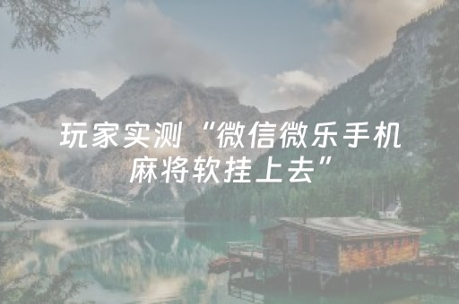 玩家实测“微信微乐手机麻将软挂上去”（详细透视教程）-哔哩哔哩