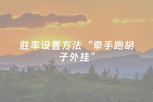 胜率设置方法“牵手跑胡子外挂”（详细透视教程）-哔哩哔哩