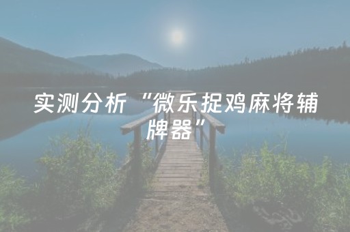 实测分析“微乐捉鸡麻将辅牌器”（详细辅助教程）-哔哩哔哩