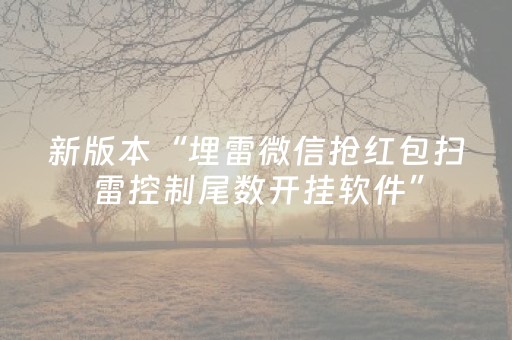 新版本“埋雷微信抢红包扫雷控制尾数开挂软件”（详细透视教程）-哔哩哔哩