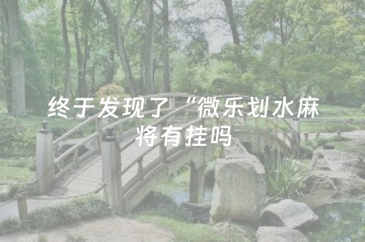 终于发现了“微乐划水麻将有挂吗（专用辅牌神器免安装）