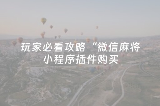 玩家必看攻略“微信麻将小程序插件购买（助赢神器通用版）
