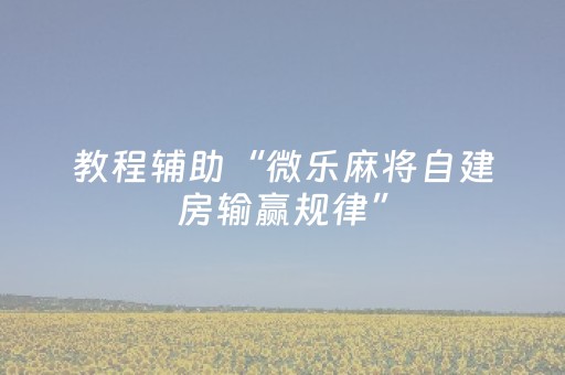 教程辅助“微乐麻将自建房输赢规律”（详细透视教程）-哔哩哔哩