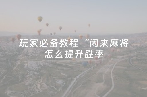 玩家必看教程！“17麻将众娱软件神器”（详细辅助教程）-哔哩哔哩