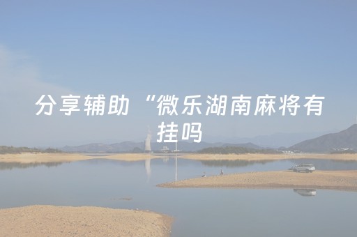 终于发现“手机扑克扫描器（助赢神器通用版）