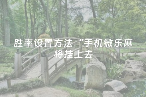 胜率设置方法“手机微乐麻将挂上去（专用辅牌神器免安装）