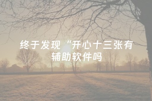 终于发现“开心十三张有辅助软件吗（专用辅牌神器免安装）