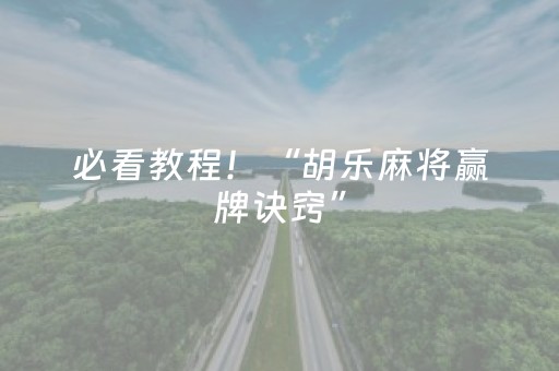必看教程！“胡乐麻将赢牌诀窍”（详细辅助教程）-哔哩哔哩