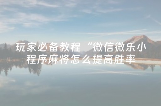 玩家必备教程“微信微乐小程序麻将怎么提高胜率（助赢神器通用版）