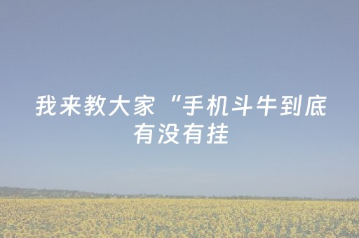 我来教大家“手机斗牛到底有没有挂（专用辅牌神器免安装）
