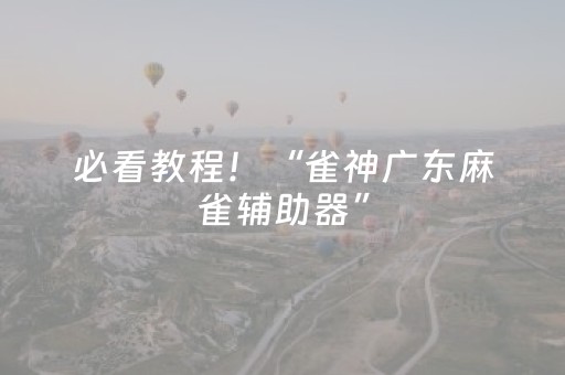 必看教程！“雀神广东麻雀辅助器”（详细开挂教程）-哔哩哔哩