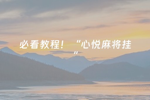 必看教程！“心悦麻将挂”（详细透视教程）-哔哩哔哩