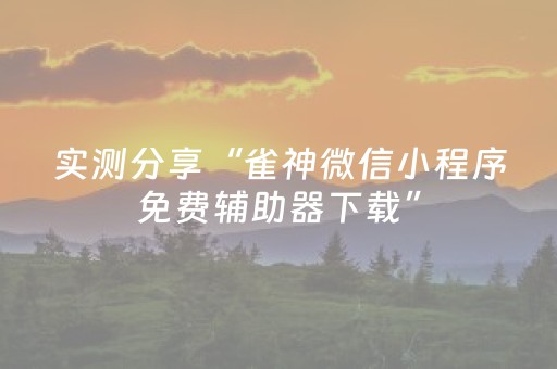 实测分享“雀神微信小程序免费辅助器下载”（详细透视教程）-哔哩哔哩
