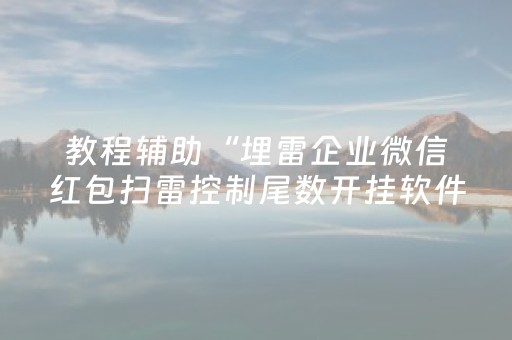 教程辅助“埋雷企业微信红包扫雷控制尾数开挂软件辅助器”（详细透视教程）-哔哩哔哩