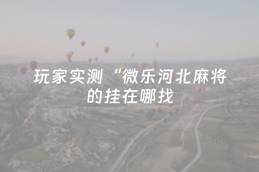 玩家实测“微乐河北麻将的挂在哪找（专用辅牌神器免安装）