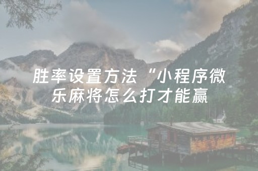 胜率设置方法“小程序微乐麻将怎么打才能赢（助赢神器通用版）