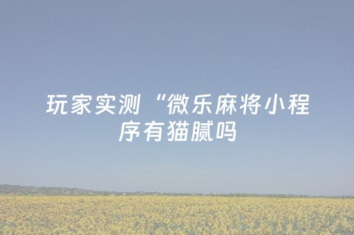 玩家实测“微乐麻将小程序有猫腻吗（专用辅牌神器免安装）