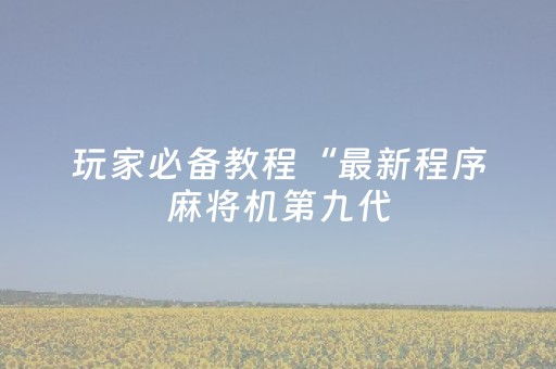 玩家必备教程“最新程序麻将机第九代（专用辅牌神器免安装）