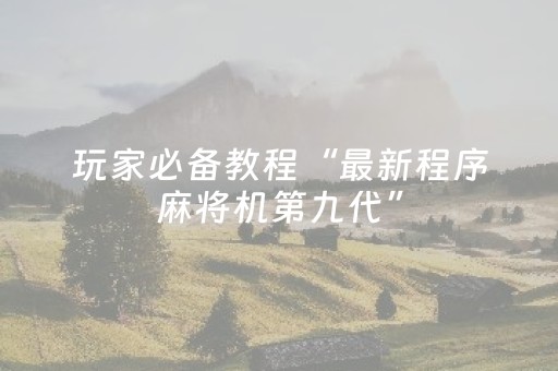 玩家必备教程“最新程序麻将机第九代”（详细透视教程）-哔哩哔哩