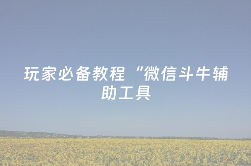玩家必备教程“微信斗牛辅助工具（专用辅牌神器免安装）