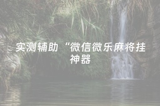 实测辅助“微信微乐麻将挂神器（专用辅牌神器免安装）