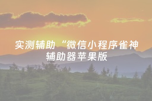 实测辅助“微信小程序雀神辅助器苹果版（助赢神器通用版）