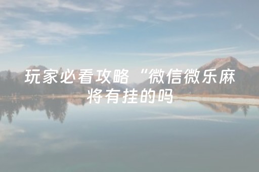 玩家必看攻略“微信微乐麻将有挂的吗（专用辅牌神器免安装）